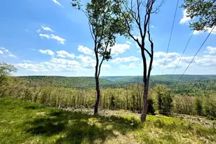 125 Mapes Rd, Barryville, NY 12719 - Photo 34