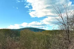 40 Walnut St, Pawling, NY 12564 - Photo 10