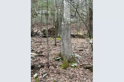 0 Red Hill Road, Wurtsboro, NY 12790 - Photo 10