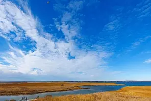 7 Widgeon Way, Westhampton Beach, NY 11978 - Photo 14