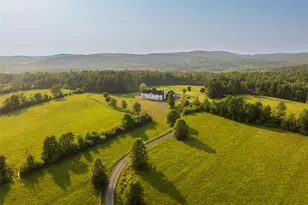 167 New Concord Rd, Chatham, NY 12060 - Photo 2