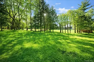 366 Overlook Rd, Pleasant Valley, NY 12569 - Photo 36