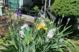 703 Fresh Pond Ave, Calverton, NY 11933 - Photo 18