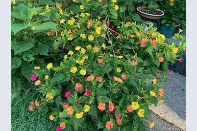 703 Fresh Pond Avenue #175, Calverton, NY 11933 - Photo 22