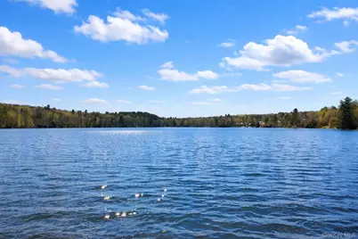 4 Ray Lane, Loch Sheldrake, NY 12733 - Photo 24