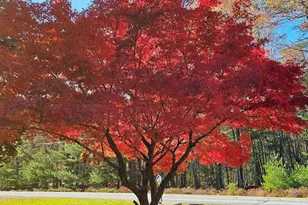 107 Eldred-Yulan Rd, Eldred, NY 12732 - Photo 6