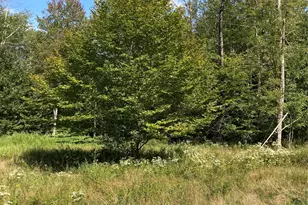 699 Budd Rd, Woodbourne, NY 12788 - Photo 22