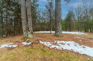 183 Mill Rd, Olivebridge, NY 12461 - Photo 8