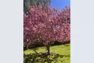 20 Lake Road, Mahopac, NY 10541 - Photo 46