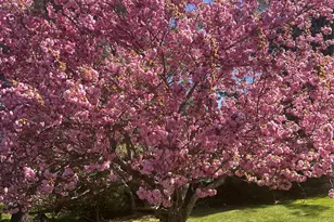 20 Lake Rd, Mahopac, NY 10541 - Photo 46