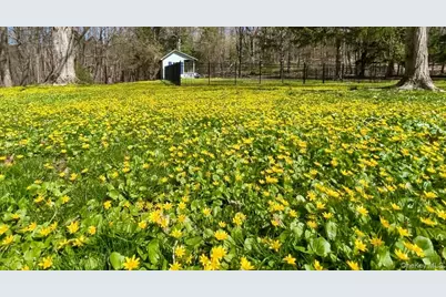 645 Tyrrel Road, Millbrook, NY 12545 - Photo 12