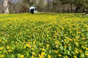 645 Tyrrel Rd, Millbrook, NY 12545 - Photo 12