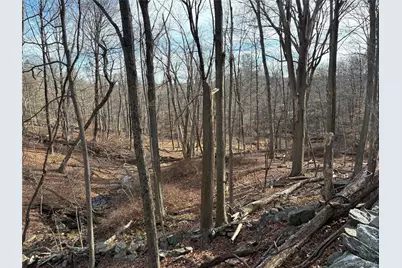 Salem Road, Pound Ridge, NY 10576 - Photo 4