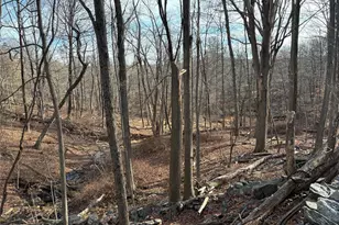 Salem Rd, Pound Ridge, NY 10576 - Photo 4