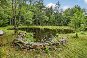 16 Kukas Rd, Monticello, NY 12701 - Photo 48