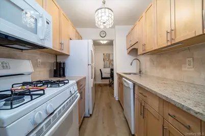 3 Birchwood Court #2J, Mineola, NY 11501 - Photo 8