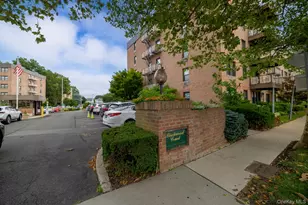 3 Birchwood Ct, Mineola, NY 11501 - Photo 16
