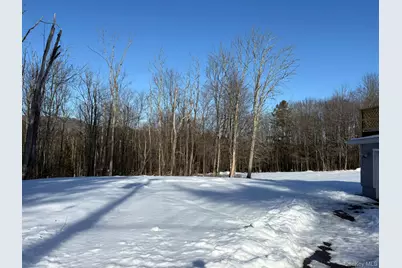 241 W Lake Street, Liberty, NY 12754 - Photo 18