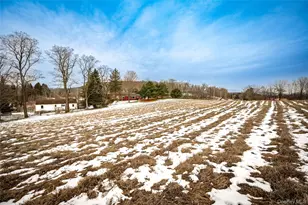 3807 Route 199, Pine Plains, NY 12567 - Photo 6