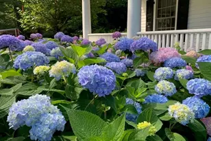 8 Richbell Rd, Scarsdale, NY 10583 - Photo 12