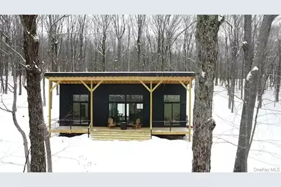 84 Skyline Drive, Neversink, NY 12765 - Photo 38