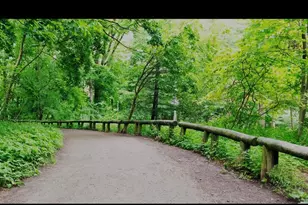 86-19 79th St, Woodhaven, NY 11421 - Photo 18