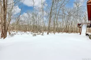 49 Camp Hill Rd, Pomona, NY 10970 - Photo 18