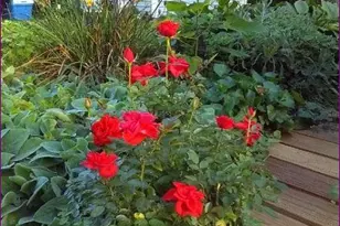 20 Princeton St, Red Hook, NY 12571 - Photo 34