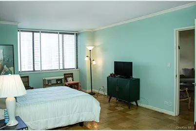 26910 Grand Central Parkway #22F, Floral Park, NY 11005 - Photo 10