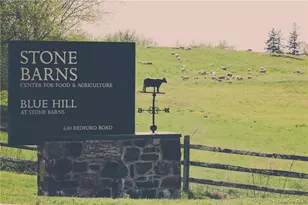 414 Benedict Ave, Tarrytown, NY 10591 - Photo 24