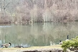 422 Fox Run Ln, Carmel, NY 10512 - Photo 24