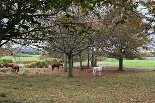 3172 Sound Ave, Riverhead, NY 11901 - Photo 50