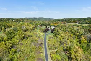 55 Townsend Farm Rd, Lagrangeville, NY 12540 - Photo 46