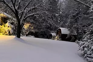 172 Wards Rd, Livingston Manor, NY 12758 - Photo 4