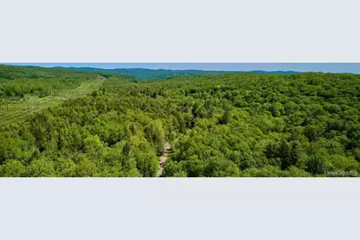 172 Wards Road, Livingston Manor, NY 12758 - Photo 24