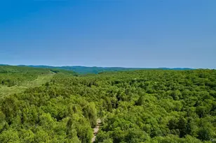 172 Wards Rd, Livingston Manor, NY 12758 - Photo 24