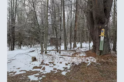 Heinle Road E, Swan Lake, NY 12783 - Photo 14