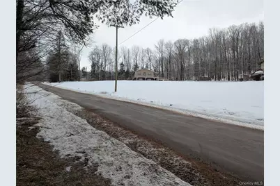 Heinle Road E, Swan Lake, NY 12783 - Photo 16