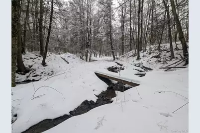 Heinle Road E, Swan Lake, NY 12783 - Photo 12