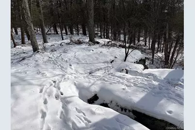 Lot 29 Kenoza Trail, Callicoon, NY 12723 - Photo 18
