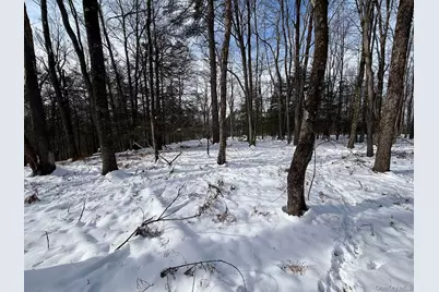 Lot 29 Kenoza Trail, Callicoon, NY 12723 - Photo 14