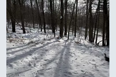 Lot 29 Kenoza Trail, Callicoon, NY 12723 - Photo 16