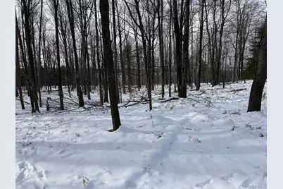 Lot 29 Kenoza Trail, Callicoon, NY 12723 - Photo 22