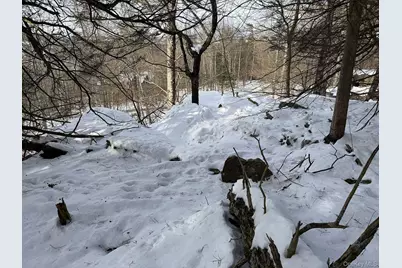 Lot 29 Kenoza Trail, Callicoon, NY 12723 - Photo 20