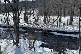 290 Gulf Rd, Roscoe, NY 12776 - Photo 4