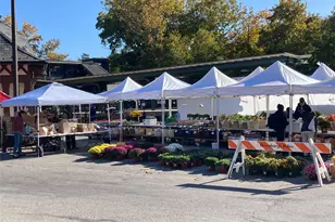 7 Jane St, Hartsdale, NY 10530 - Photo 36