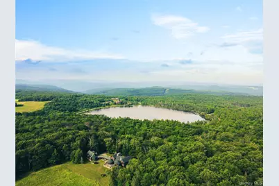 Lot 9 Wood Lake Trail, Roscoe, NY 12736 - Photo 6