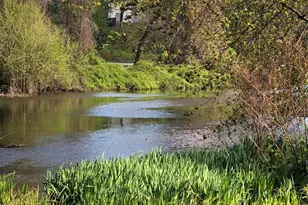 15 Meadow Ave, Bronxville, NY 10708 - Photo 28