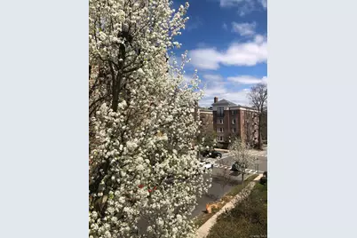 15 Meadow Avenue #6, Bronxville, NY 10708 - Photo 22