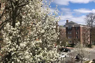 15 Meadow Ave, Bronxville, NY 10708 - Photo 22